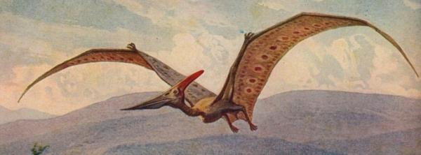 post-6267-0-66989700-1437680473_thumb.jp