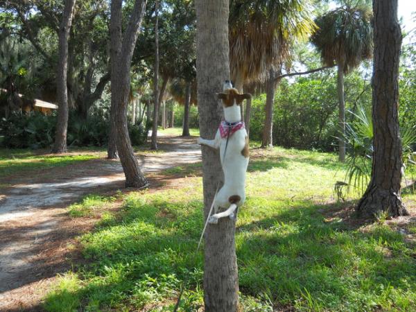 post-3346-0-34340400-1375444594_thumb.jp