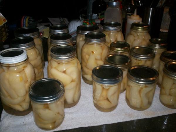 post-1083-0-31086700-1409366479_thumb.jp