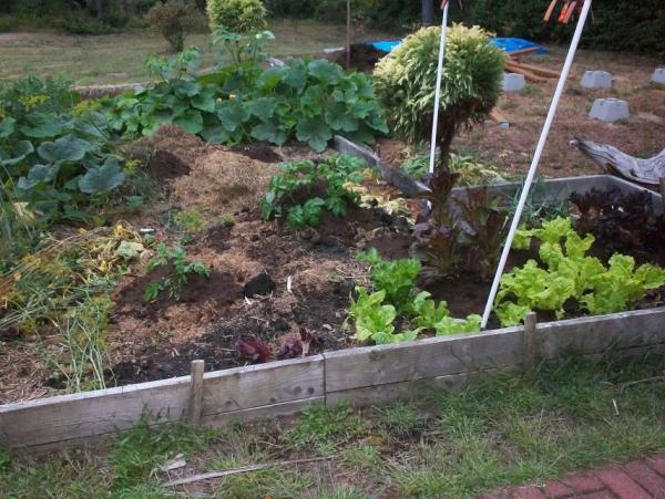 post-1083-0-52369400-1409366440_thumb.jp