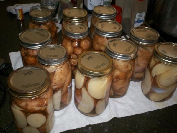 post-1083-0-55975500-1406859945_thumb.jp