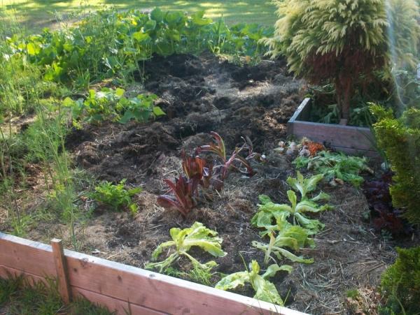 post-1083-0-60428800-1406860577_thumb.jp