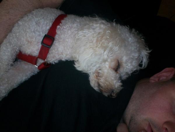 post-1083-0-66092600-1409528052_thumb.jp