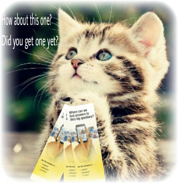 post-2322-0-16767500-1409022447_thumb.jp