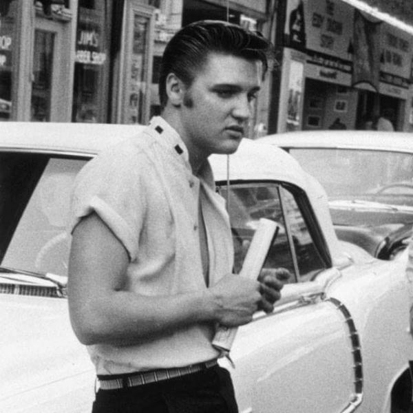 post-1015-0-18855100-1439119700_thumb.jp