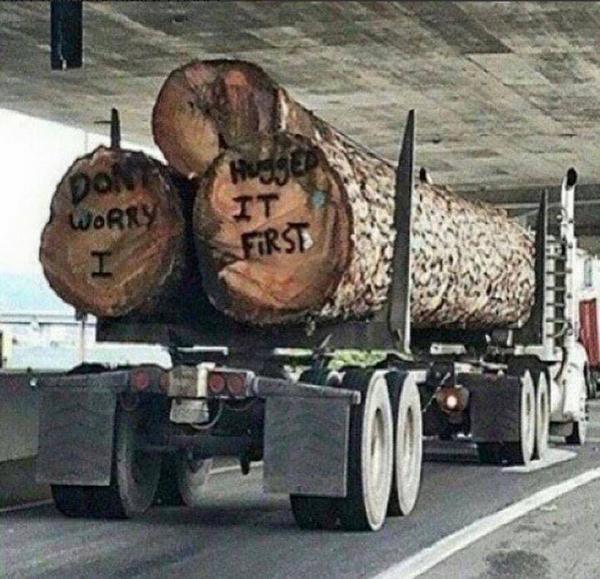 post-1083-0-94008800-1439072896_thumb.jp