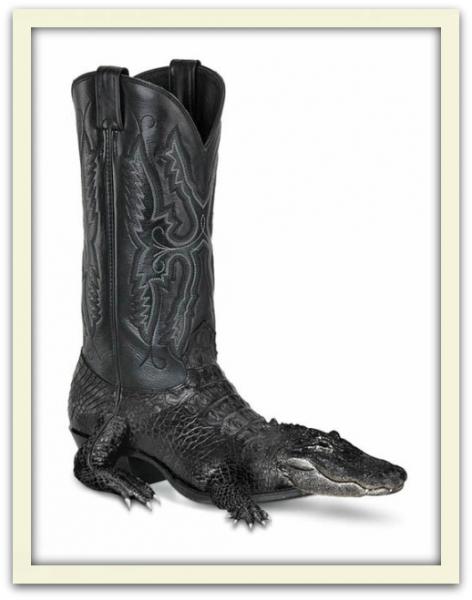 post-1993-0-24432800-1439219176_thumb.jp