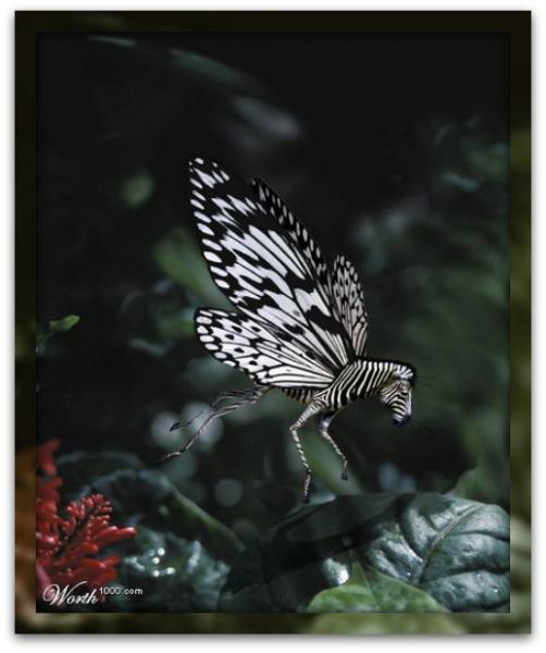 post-1993-0-84111500-1439045088_thumb.jp