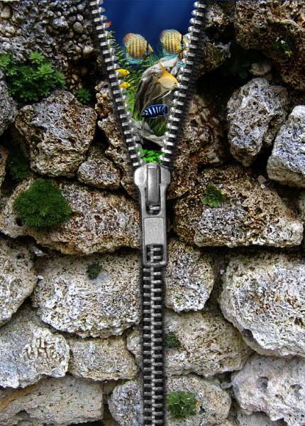 post-1993-0-93865000-1439045030_thumb.jp