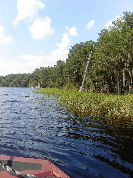 post-2173-0-29336700-1440373908_thumb.jp