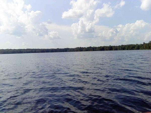 post-2173-0-51217800-1440374221_thumb.jp