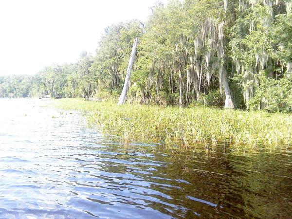 post-2173-0-67307800-1440374150_thumb.jp