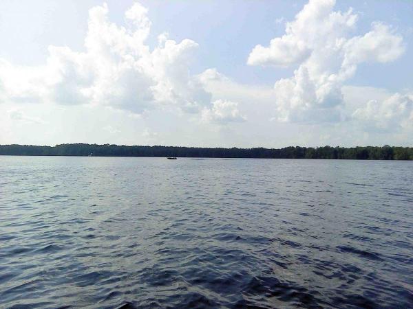 post-2173-0-90308400-1440373943_thumb.jp