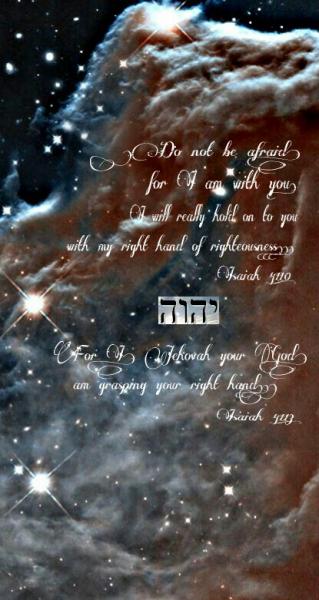 post-2322-0-05969000-1440938734_thumb.jp