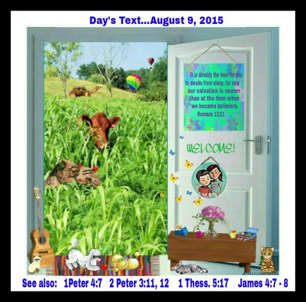 post-2322-0-76512000-1439258948_thumb.jp