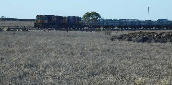 post-4283-0-27503400-1438971625_thumb.jp