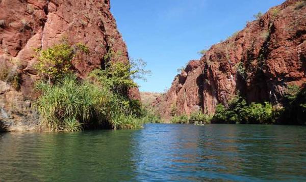 post-4283-0-32287900-1438971891_thumb.jp