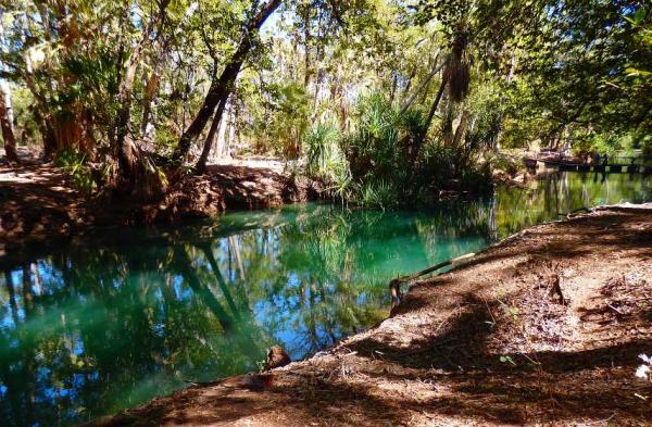 post-4283-0-32766000-1438972283_thumb.jp