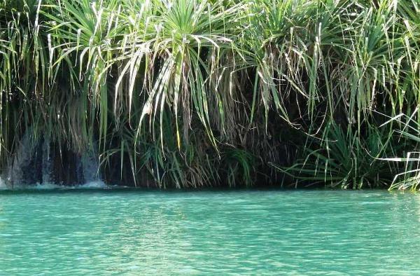 post-4283-0-65087800-1438972187_thumb.jp