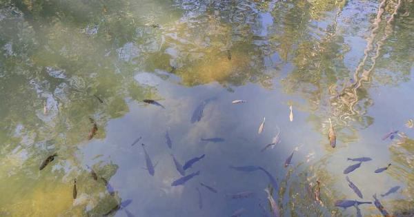 post-4283-0-68598800-1438972378_thumb.jp