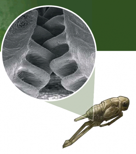 post-4555-0-62287200-1438474924_thumb.pn