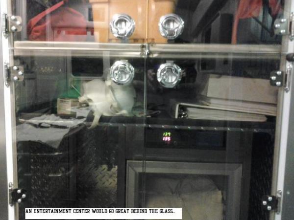 post-5984-0-43005800-1439530795_thumb.jp