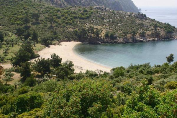 post-6389-0-51358900-1440346252_thumb.jp