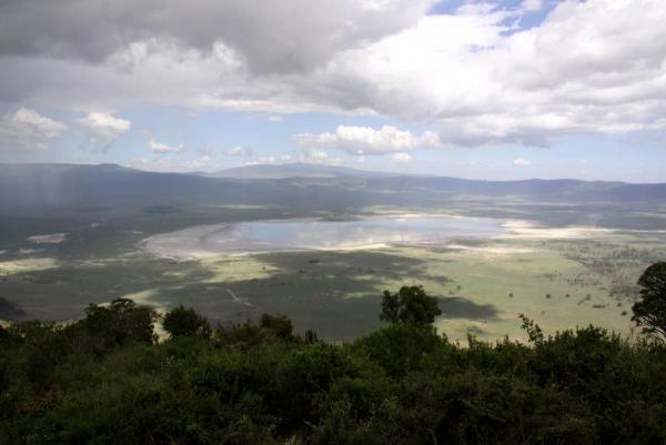 post-6389-0-86794200-1440346298_thumb.jp