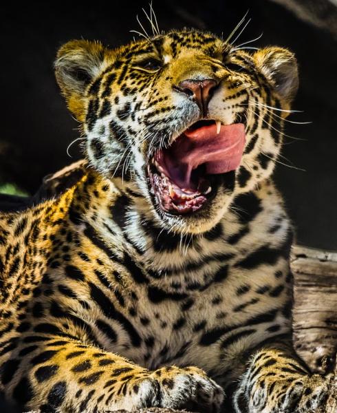 post-1015-0-42760600-1378958022_thumb.jp