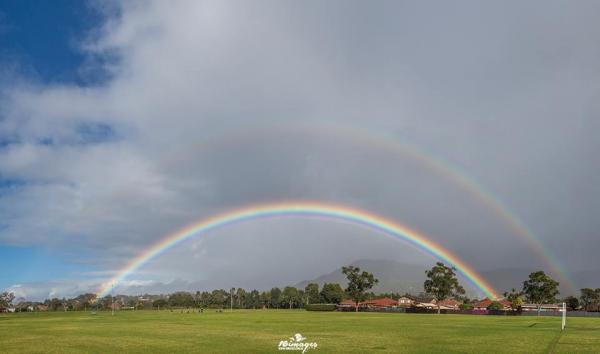 post-1015-0-19639100-1409885271_thumb.jp