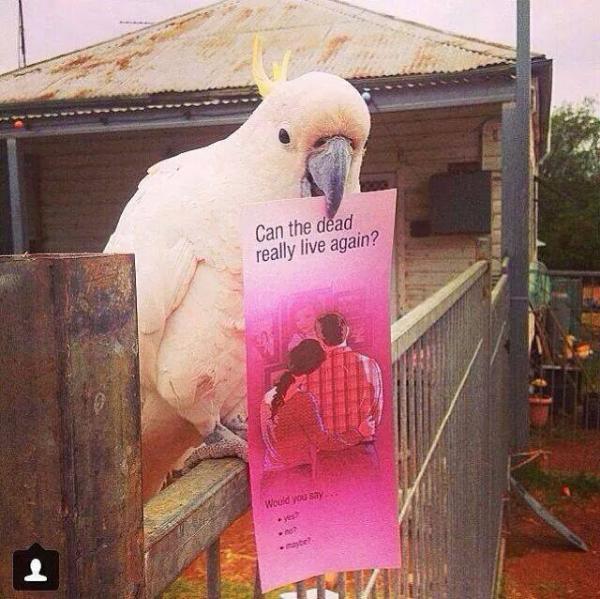 post-1015-0-64052200-1410248866_thumb.jp