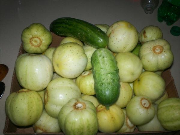 post-1083-0-28119100-1410232455_thumb.jp