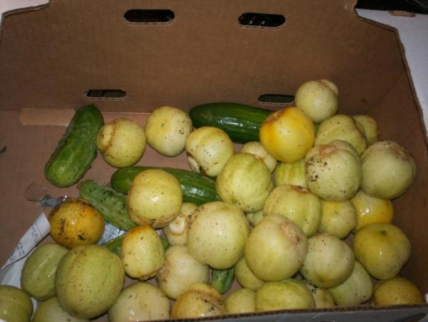 post-1083-0-43941400-1410232364_thumb.jp