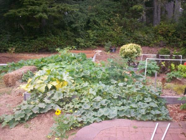 post-1083-0-79038900-1410230126_thumb.jp