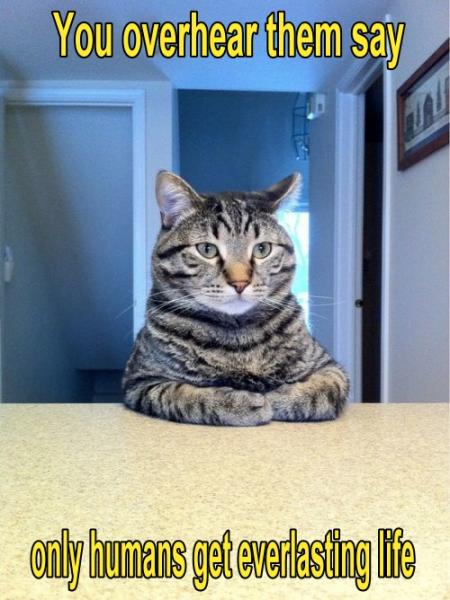 post-3159-0-69677700-1411722910_thumb.jp