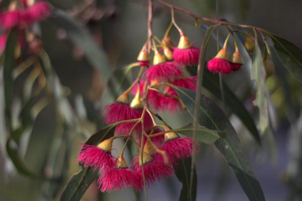 post-4085-0-71799400-1411874329_thumb.jp