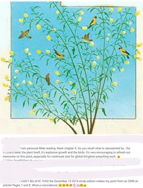 post-4555-0-38983500-1410558030_thumb.jp