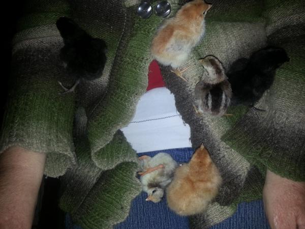 post-4947-0-75438300-1411208013_thumb.jp