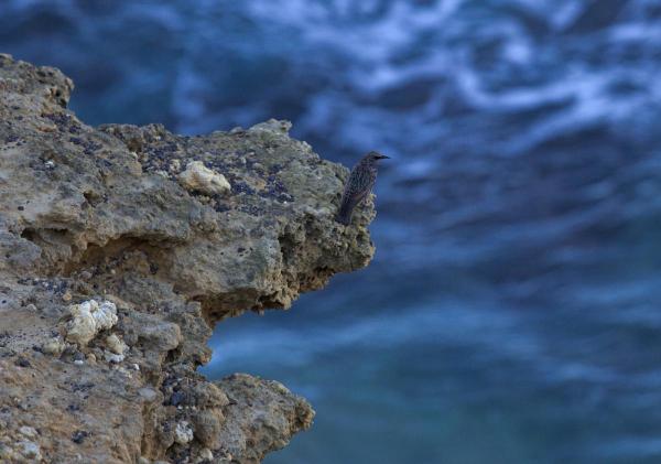 post-4085-0-65362500-1442733669_thumb.jp