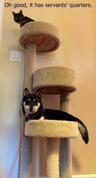 post-5252-0-37336800-1441645363_thumb.jp