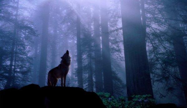 post-5984-0-05957500-1441514719_thumb.jp