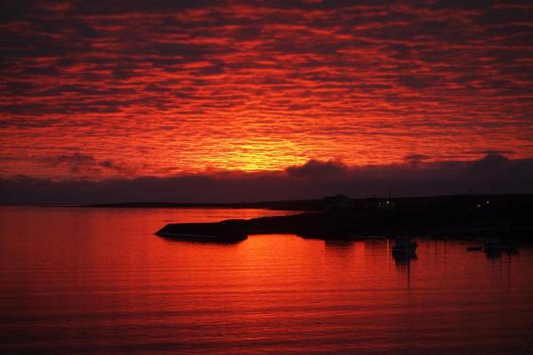 post-5984-0-09741100-1442977045_thumb.jp