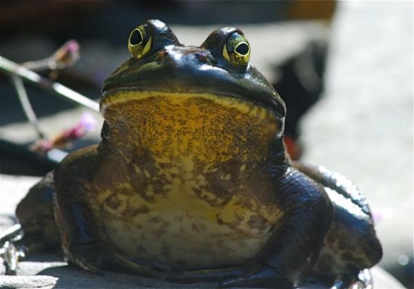 post-5984-0-13872900-1441514514_thumb.jp