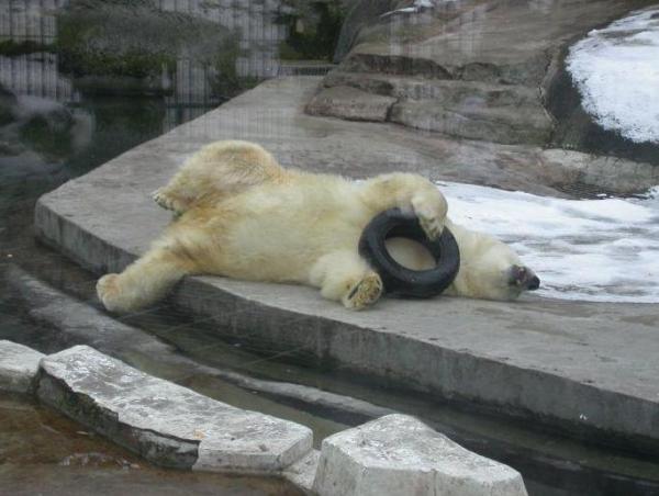 post-5984-0-25124500-1442812903_thumb.jp