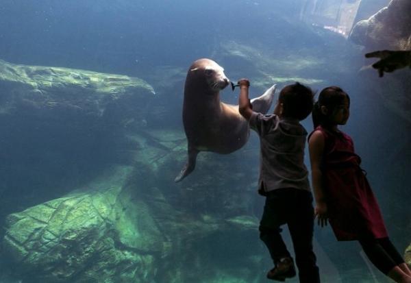 post-5984-0-26138900-1441953905_thumb.jp