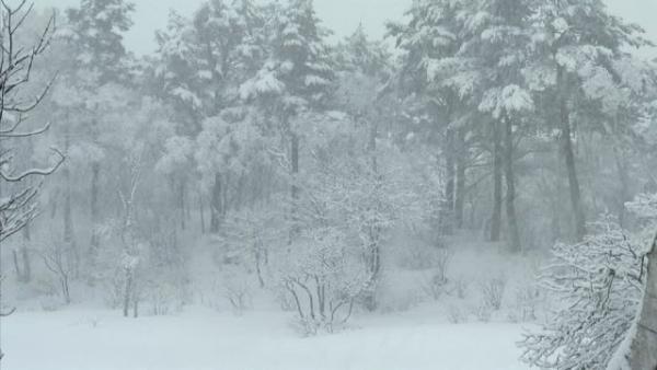 post-5984-0-70126000-1441956222_thumb.jp