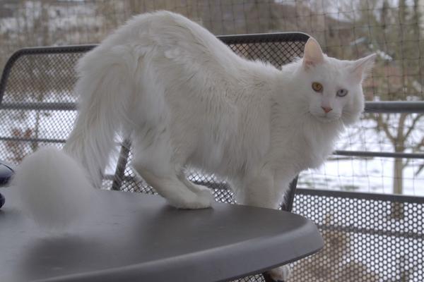 post-6389-0-61839400-1442654653_thumb.jp