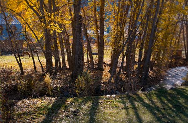 post-2074-0-24969700-1383008672_thumb.jp