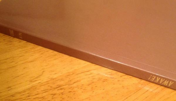 post-2920-0-00544300-1382407928_thumb.jp