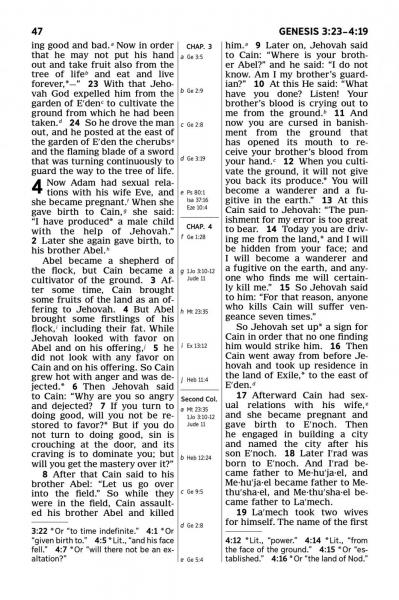 post-2920-0-26160900-1382182929_thumb.jp